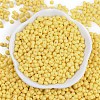 Baking Paint Glass Seed Beads SEED-K010-A26-3