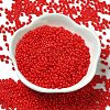 Baking Paint Glass Seed Beads SEED-P006-03A-10-2