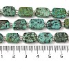Natural African Turquoise(Jasper) Beads Strands G-C098-A04-01-5