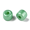 Baking Paint Pearlized Glass Seed Beads SEED-T008-03R-4
