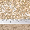 MIYUKI Delica Beads SEED-MY11-DB1561-4