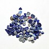 Lapis Lazuli Chip Beads X-G-O103-21-1