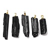 Natural Black Tourmaline Big Pendants GG-C001-03G-1