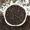 Electroplate Glass Seed Beads SEED-H003-10I-3