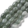 Dyed Natural Malaysia Jade Beads Strands G-P528-I06-01-1