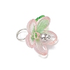 Plastic & Acrylic Pendants PALLOY-JF03053-02-4