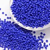 6/0 Glass Seed Beads X-SEED-J014-F6-48-1