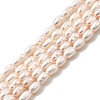 Natural Cultured Freshwater Pearl Beads Strands PEAR-I007-01L-01B-2