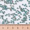 MIYUKI Round Rocailles Beads X-SEED-G008-RR4506-2