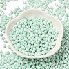 6/0 Glass Seed Beads SEED-M012-01A-07-2