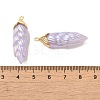 Rainbow Iridescent Plating Resin Pendants RESI-C047-03E-G-3