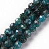 Natural Apatite Beads Strands G-S362-110E-1
