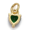 Brass Micro Pave Cubic Zirconia Charms X-KK-P192-08-G06-2