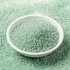 MIYUKI Round Rocailles Beads X-SEED-G009-RR0370-2