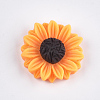 Resin Cabochons CRES-T010-59B-1