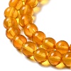 Natural Amber Beads Strands G-Q1006-01B-3