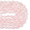 Natural Prehnite Beads Strands G-G453-D16-01-5