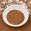 MIYUKI Delica Beads SEED-JP0008-DB2287-2