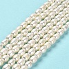 Natural Cultured Freshwater Pearl Beads Strands PEAR-E016-168-2