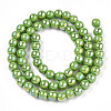 Electroplate Opaque Glass Beads Strands X-GLAA-T032-P6mm-AB06-3
