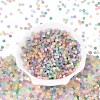 FGB Frosted Transparent Glass Seed Beads SEED-N013-04A-2
