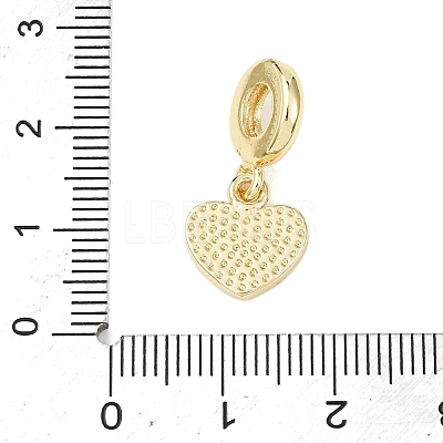 Brass Enamel European Dangle Charms LS-KK-B159-01G-02-1