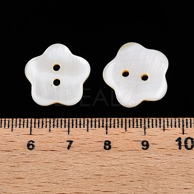 Freshwater Shell Buttons BUTT-T013-01-1