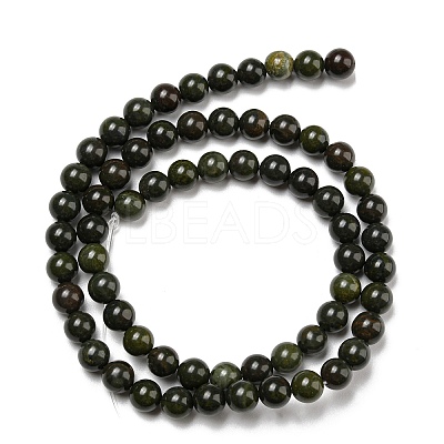 Natural African Green Autumn Jasper Beads Strands G-R494-A19-02-1