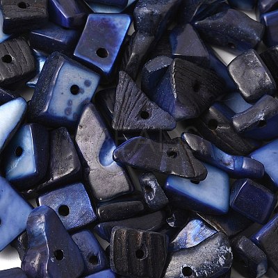Dyed Natural Freshwater Shell Chips Beads SHEL-O001-12C-1