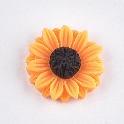 Resin Cabochons CRES-T010-59B-1