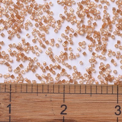 MIYUKI Delica Beads SEED-MY11-DB1864-1