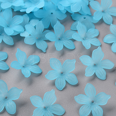 Frosted Acrylic Bead Caps MACR-S371-05A-755-1