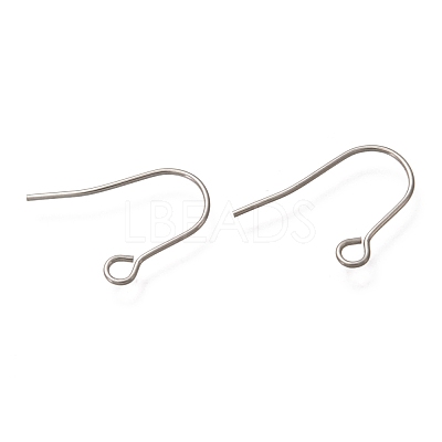 Tarnish Resistant 304 Stainless Steel Earring Hooks STAS-P263-04P-1