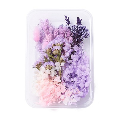 Dried Flowers DIY-D052-11-1