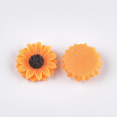 Resin Cabochons CRES-T010-60-1