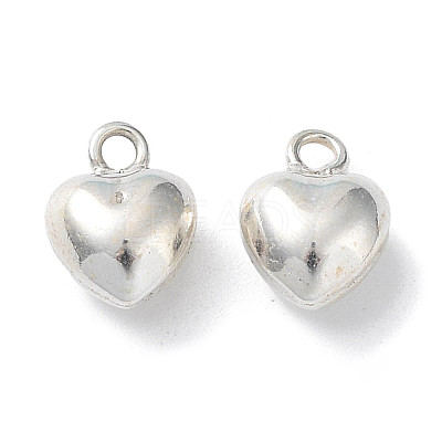 925 Sterling Silver Charms X-STER-H106-01C-S-1