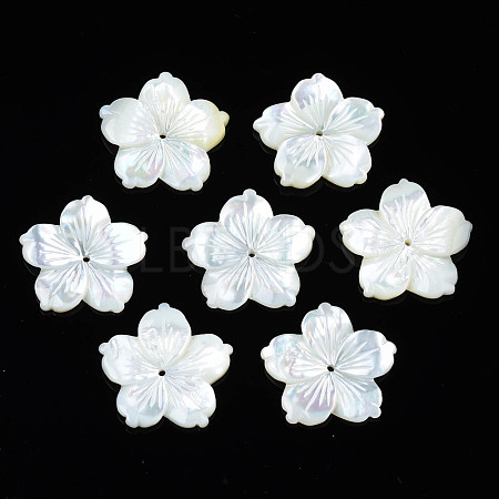 Natural White Shell Beads SSHEL-N027-131D-01-1