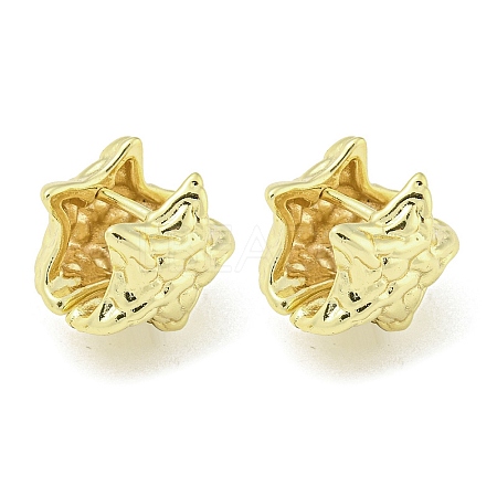 Brass Hoop Earrings LS-EJEW-Q799-03B-G-1