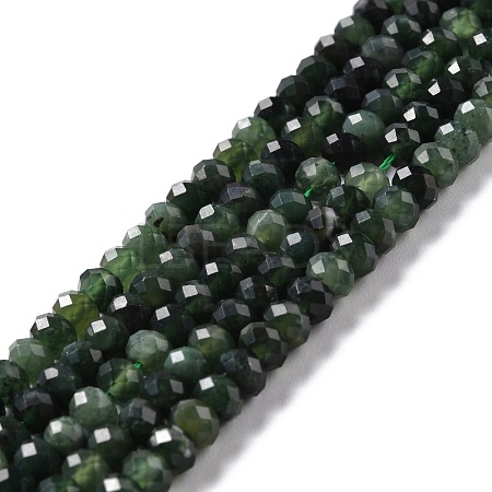 Natural Canada Jade Beads Strands G-K312-10B-1