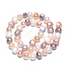 Natural Cultured Freshwater Pearl Beads Strands PEAR-N014-08E-01-3