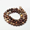 Natural Petrified Wood Round Bead Strands X-G-F266-08-4mm-2
