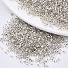 Glass Seed Beads SEED-S042-04B-06-1