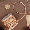20 Yards Flat Leather Cords WL-CL0001-16C-7