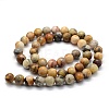 Natural Crazy Lace Agate Beads Strands G-G763-10-8mm-2