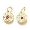 Brass Micro Pave Cubic Zirconia Charms ZIRC-H100-03-9