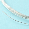 Dead Soft 925 Sterling Silver Wire STER-NH002-A-2