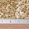 MIYUKI Delica Beads X-SEED-J020-DB2521-4
