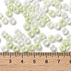 3/0 Glass Seed Beads X1-SEED-L011-03A-17-4