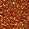 6/0 Glass Seed Beads SEED-US0003-4mm-29-2