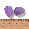 Handmade Lampwork Beads Strands LAMP-G162-05G-4